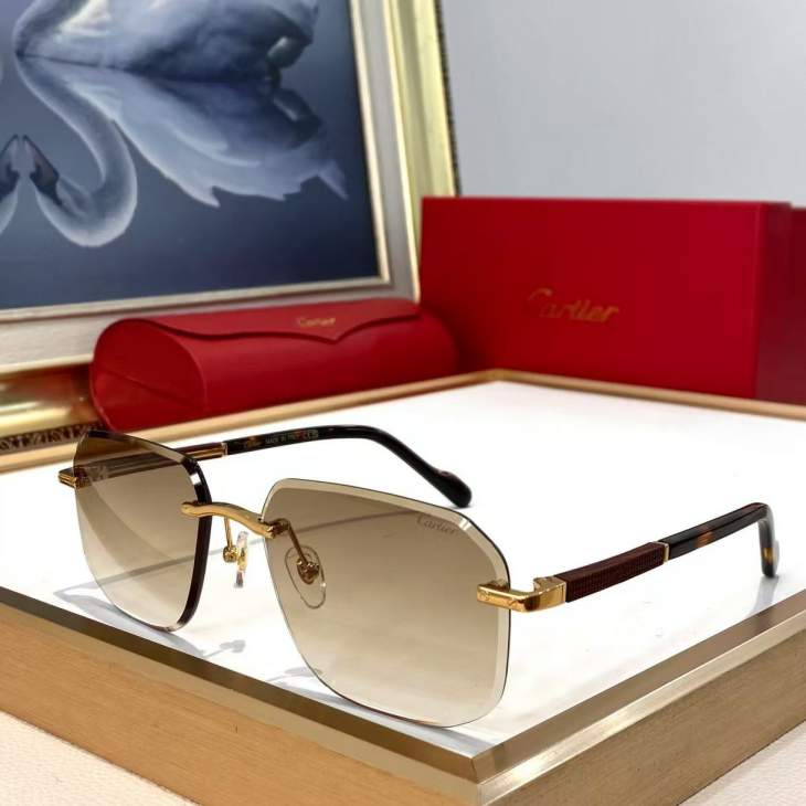 Picture of Cartier Sunglasses _SKUfw79616091fw